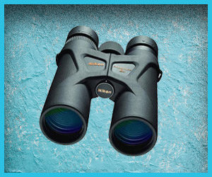 Best birding binoculars under 200